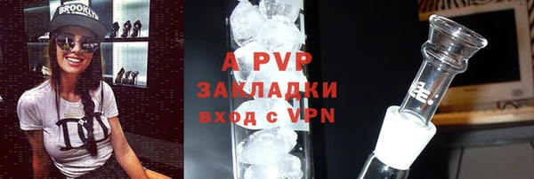 шишки Дмитровск
